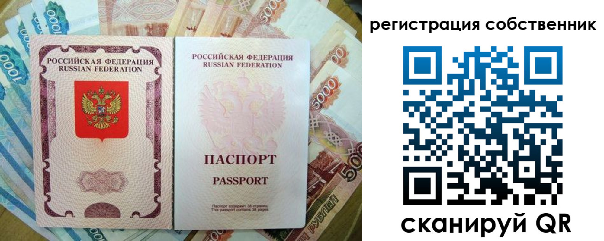 временная регистрация надежно в Коле