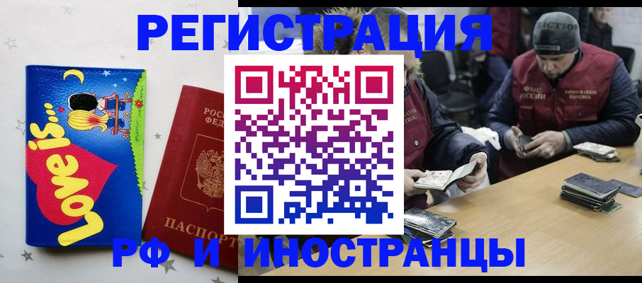 где прописаться в Коле
